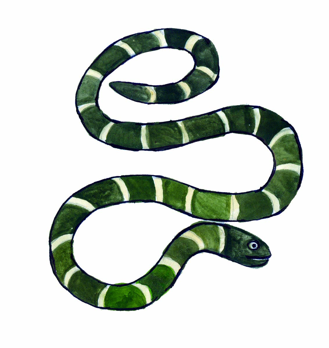 02 A Snake Charmer's Story / Looking Around